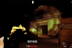 模拟人生5：这是恐怖游戏吧，这么黑视频封面