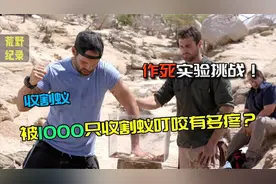 被1000只收割蚁叮咬有多疼？国外狠人用实验给你答案，作死挑战！视频封面