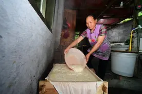 这几种农村家庭小作坊，做好了，年收入都在20万以上图片