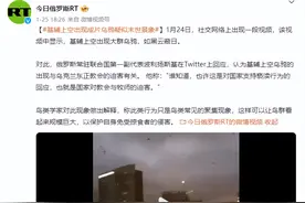 乌克兰基辅乌鸦聚集如黑云蔽日，民众恐慌：麻烦前兆，或参与食腐图片