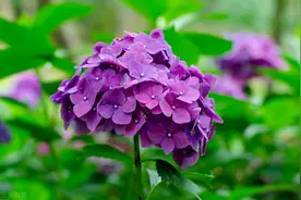 在感情中，对方变心了，其实会有这些征兆图片