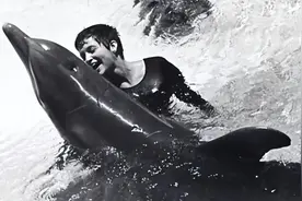 63年公海豚为爱殉情，后女老师坦言：我们确实有过非常亲密的接触图片