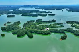 【行走河南·读懂中国】信阳：游如画南湾湖 品美味南湾鱼图片