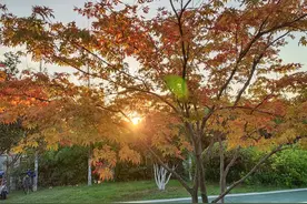 俗语“女婿登门忙不休，姑爷到此凉嗖嗖”是什么意思？为啥？图片