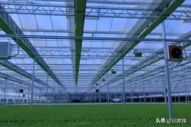 40天产一茬菜，全年产出190万斤，这个蔬菜工厂咋样？图片