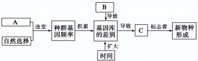 高中生物-变异育种及进化