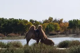 开公司注册取名字大全，寓意公司财源滚滚吉祥名字图片