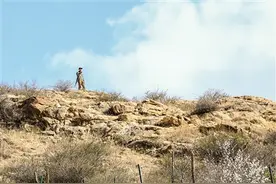 8年拾捡7万个瓶子 清理13000余斤垃圾他是大山里的“清道夫”图片