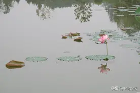 很疼的遗书图片