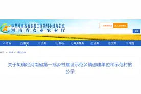 关于拟确定河南省第一批乡村建设示范村的公示图片