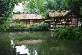 在洋溢着酒精与豪情的时代，看李白、杜甫的舍与得图片