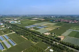 现在农村很少人种地了，怎么办呢？农业现代化势在必行图片