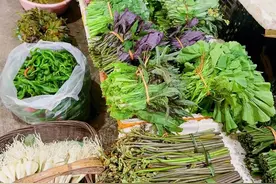 早上菜市场的一角——野菜的天堂图片