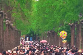 放假5天！武汉即将迎来一波人气高峰图片