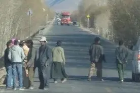 小伙开车撞死了一只羊赔款4000元后，因祸得福成就自己美妙的姻缘图片