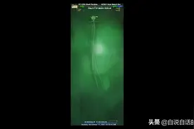 2300米下发现未知鱿鱼，慢慢破解悬案，发现了南极深海巨物的秘密图片