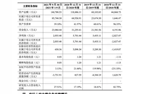 微导纳米IPO已受理：董事长王磊2020年年薪53.78万元图片