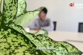 商场保安用小狗拐走4岁儿童：被拐14年男孩曾计划独立找生父母图片