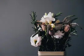 朋友圈屏蔽你的人，多半是这三种心态图片