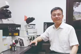 一稿拿下青年科学基金！“秘籍”在此图片