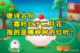 蚂蚁庄园：霜叶红于二月花指的是哪种树的红叶是梧桐树还是枫香树图片