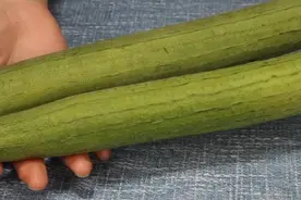 炒丝瓜，切记不要先放油，大厨教你，不出水不发黑，营养不流失图片