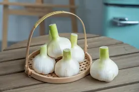 大蒜怎么管理更优质高产？掌握6个关键技术，丰产丰收有保障图片