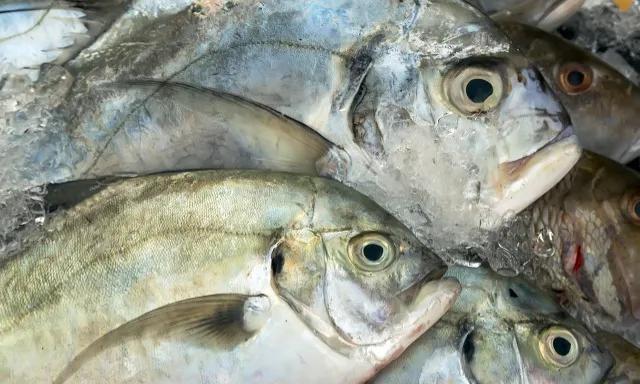 细说18种氨基酸在植物体内的作用