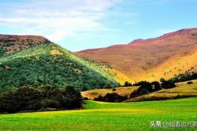 云南寻甸凤龙山，云上草原，高山牧场，国家自然草原公园图片