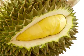 壹邦小知识：榴莲剥开吃不完怎么保存 剥开的榴莲隔夜能吃吗图片