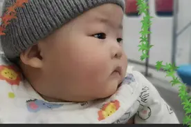 婴儿只是小，不是傻（一）图片