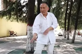 心意拳学整劲功夫中的拧来拧去与轻出重放图片