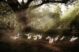 那些霸气侧漏的诗句 荡气回肠图片