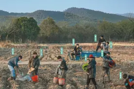 这群年轻人，在综艺节目中“种地”图片