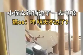 小侄女给猫添一大勺粮 猫：医生 我还剩几天图片