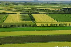 全球仅有三块黑土地，个个都是大粮仓，有一块就在中国图片