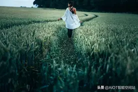 华为高管“带薪摸鱼”被曝光，我顿悟了职场中的5个残酷真相图片