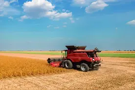 对美进口商品反制 农牧业短期景气度或提升图片