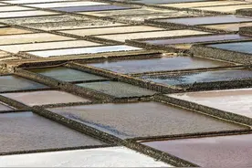 新时代下对盐碱地利用再认识图片