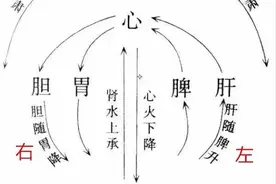 调气，是中医治病的关键所在，气有哪些作用？气又是如何运动的？图片