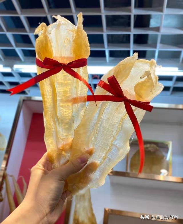 花胶烂了 花胶坏掉了是什么味道