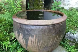 大水缸的妙用图片