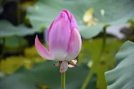 非常干净通透的四句话，这就是人生的真谛图片