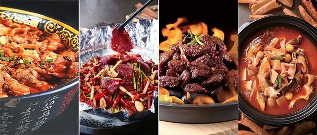 牛肉炖花胶做法大全 2026年牛肉炖花胶做法大全视频