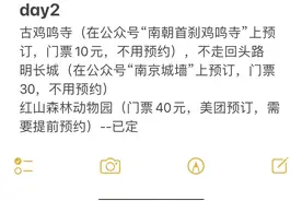 周末南京两日游攻略（带娃6岁）图片