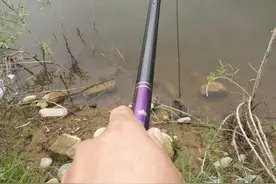 野钓，37调，28调和19调鱼竿哪个好？老钓鱼人分享使用心得图片