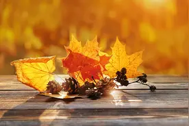 有一种别样的能力，称为“天蝎座”图片