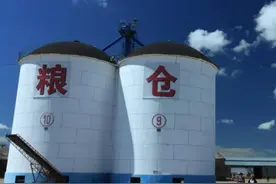 粮食危机当前，我国粮仓却发生“米象”泛滥，难道有人恶意投放？图片