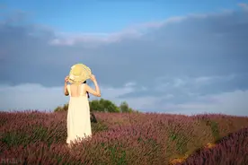 “不婚不育”成为一种新潮，抛弃婚姻，或许是普通人的宿命图片