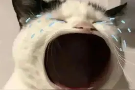 小米相册的隐藏功能，为什么我没有早点知道图片